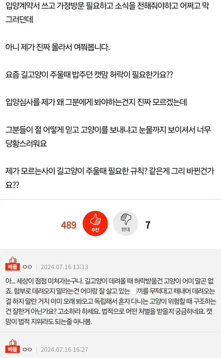 길고양이 소유권 주장하는 캣맘