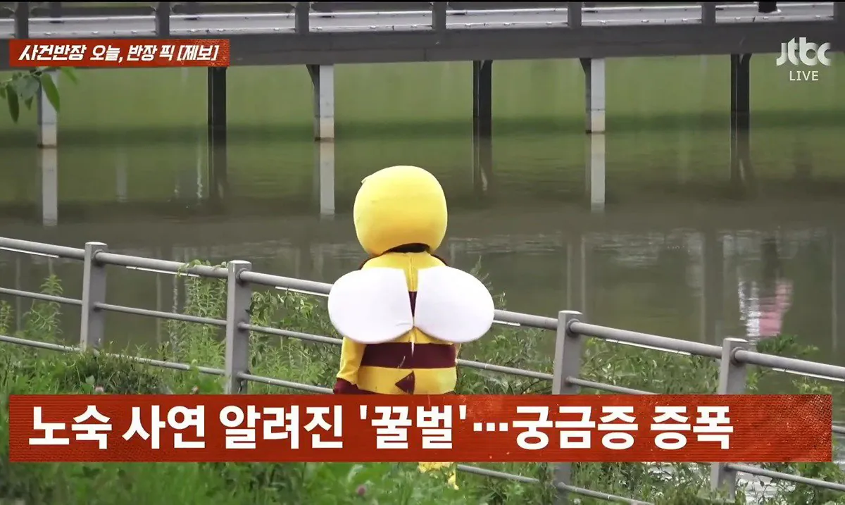 5.jpeg 사건반장에 나온 꿀벌 복장 입는 이유