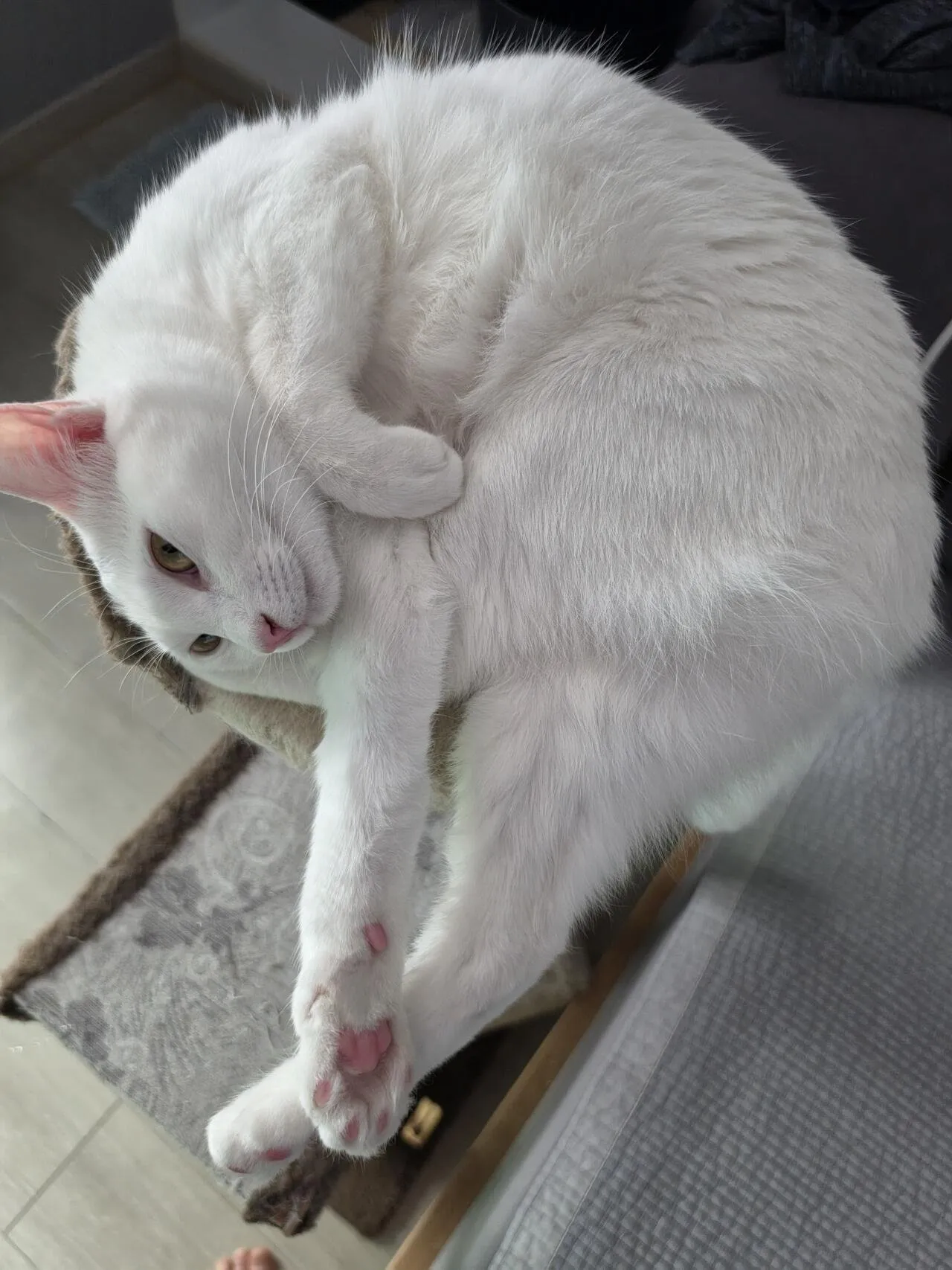 여기 진짜 아무거나 포텐보내주냐?