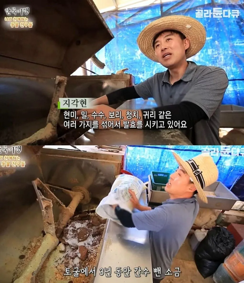 백숙집 차리려고 닭 키우기 시작한 부부의 최후