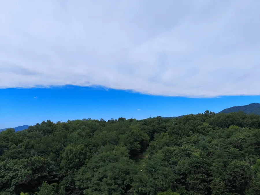 15086.webp 지금 하늘에 구름 경계선이 선명한 이유
