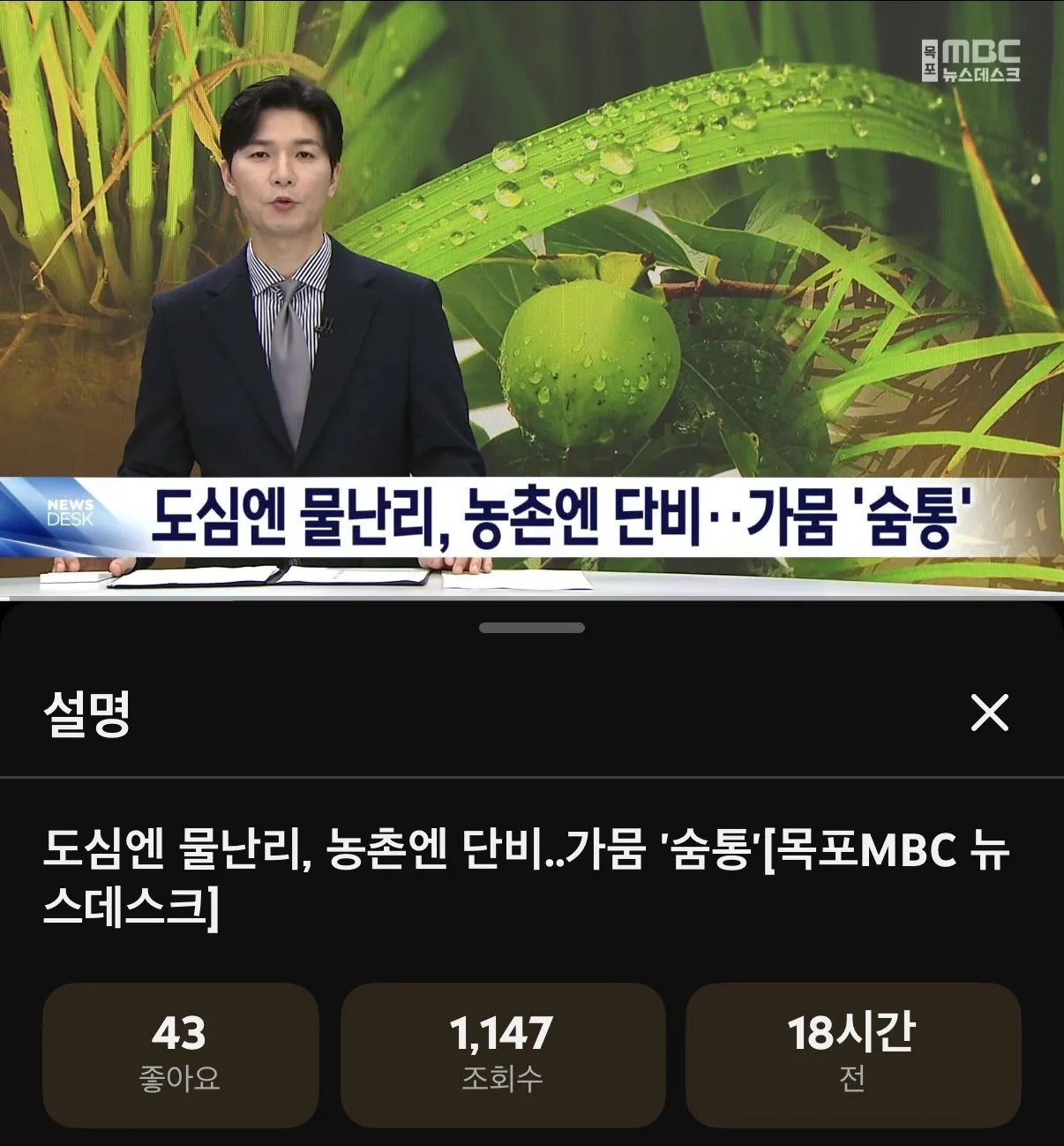 IMG_0284.jpeg 포텐간 mbc 저격글은 거제 영상이 아니다