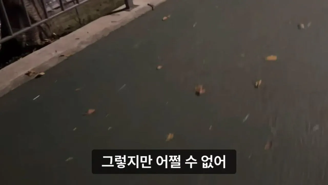 1000073732.webp 군대 안 가본 여자의 20kg 20km 행군 도전기