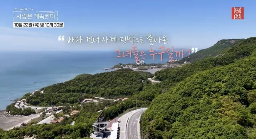 드!디!어! 시작된 국결특집 연프 긴급편성