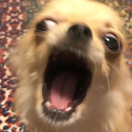 image.png 의외로 성격이 ㅈㄹ 맞았던 여왕