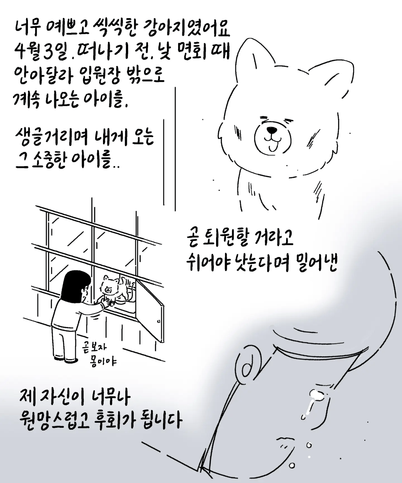 image.png 친구가 펫샵에 파양한 강아지 데리고 와 지극정성으로 키운 사연자
