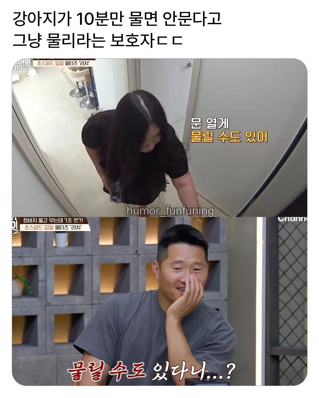 6504.jpg 강아지가 10분만 물면 더이상 안문다고 그냥 물리라고 하는 보호자 ㄷㄷ