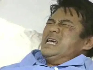 고자라니.jpg 꿀벌은 왜 침을 한 번 쏘면 죽을까?