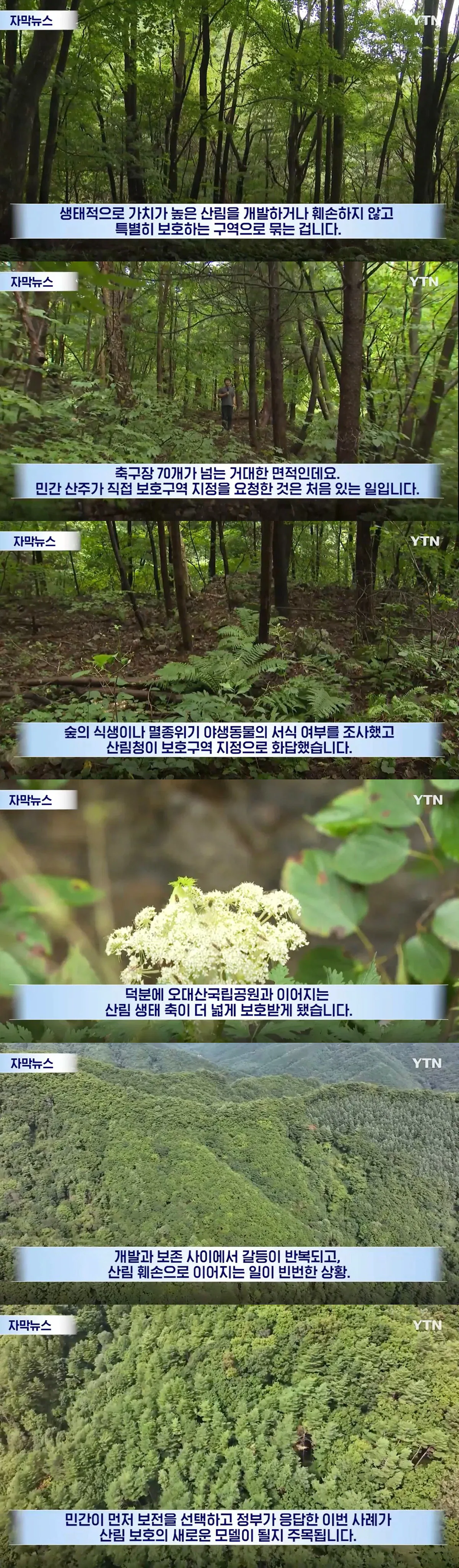 IMG_5610.png 수십억 들여 숲 사놓고 아무것도 안한 이유.jpg
