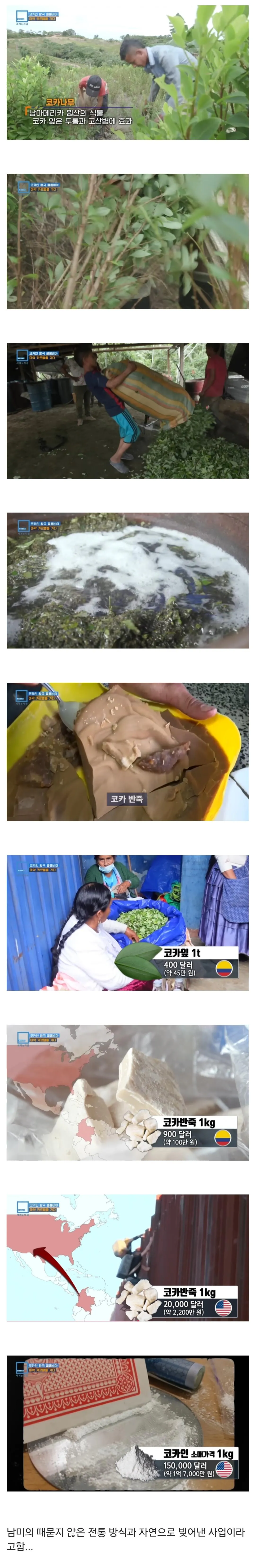 65083.jpg 친환경 유기농 농사로 떼돈 버는 사업...jpg