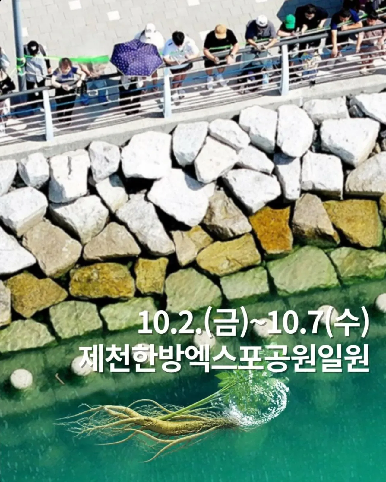 부산 북항 상어 인파가 부러웠던 충북 제천시
