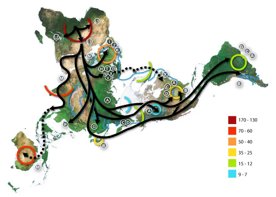 1000089385.jpg 이상한 두개골