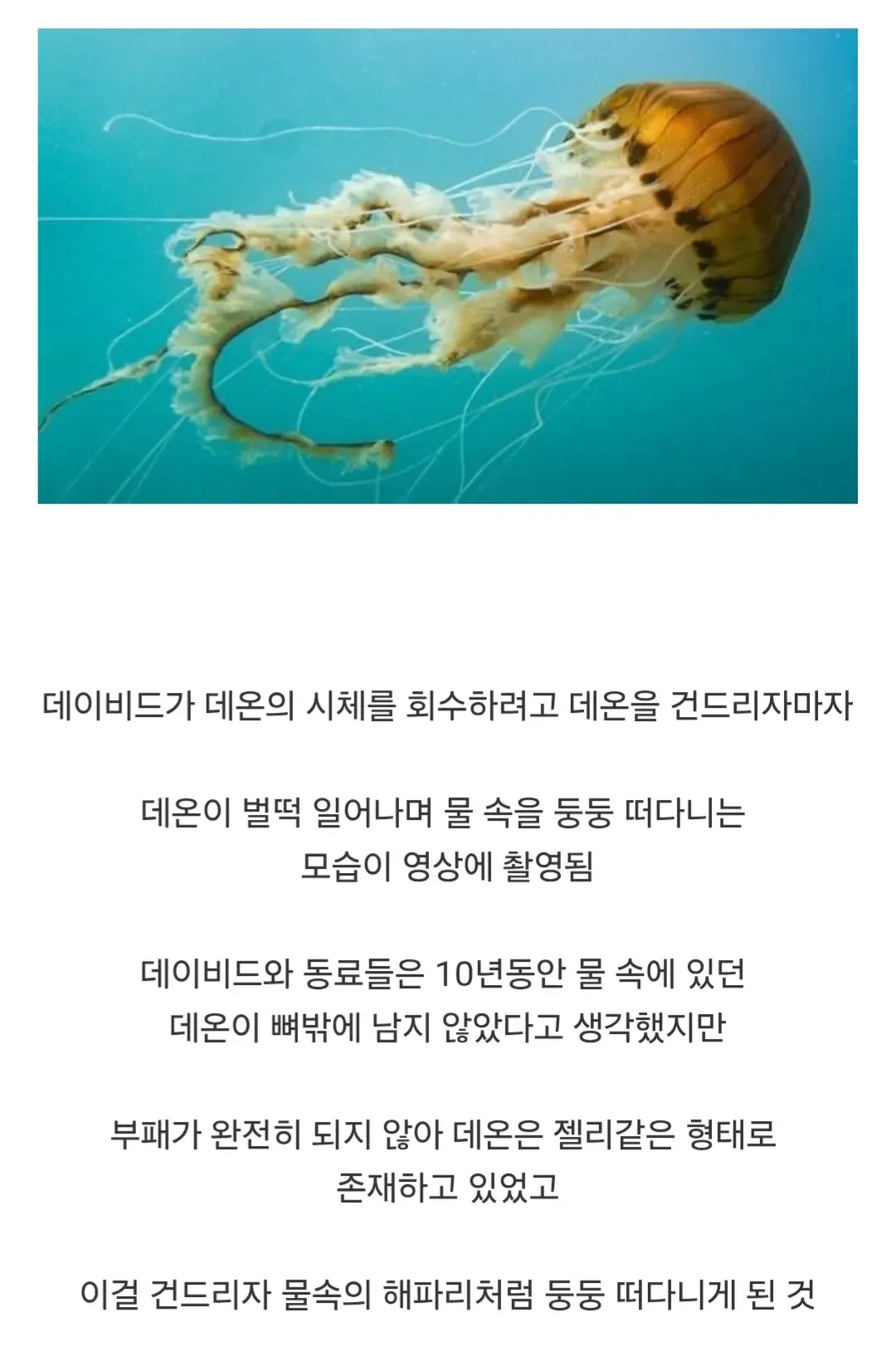 image.png 시체를 회수하다 시체가 되어버린 다이버