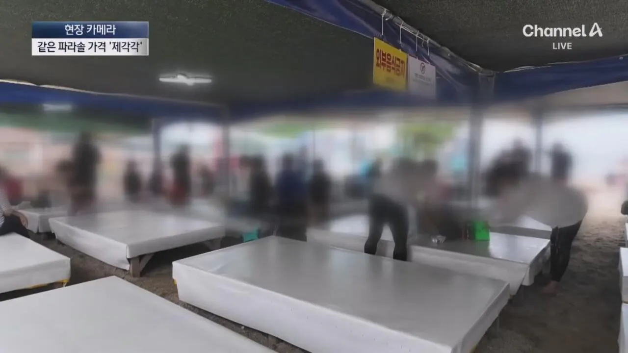 1 (11).jpg "바가지 싫으면 바다 오지마"... 정부 발표에도 여전한 바가지