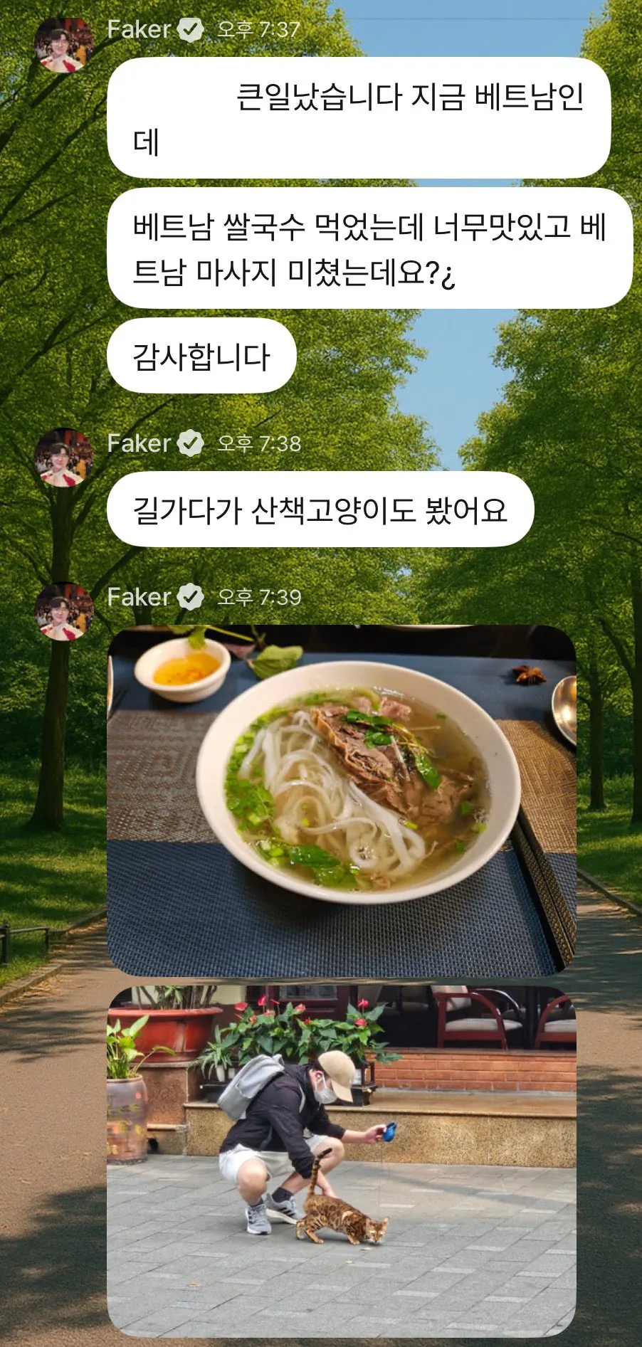 페이커 버블