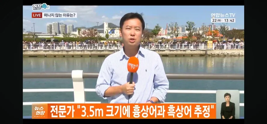 1000073396.webp 부산 상어 정보 업데이트.jpg